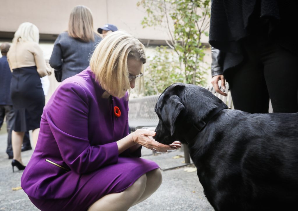 Ontario to roll out animal cruelty enforcement squad in January - Blue Line